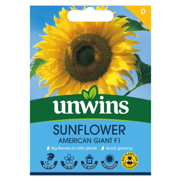 5051618016964 1 Sunflower American Giant F1 Gro Sure Seeds.jpg